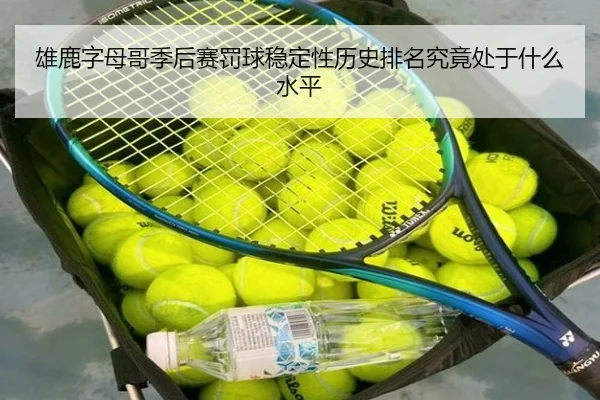 雄鹿字母哥季后赛罚球稳定性历史排名究竟处于什么水平